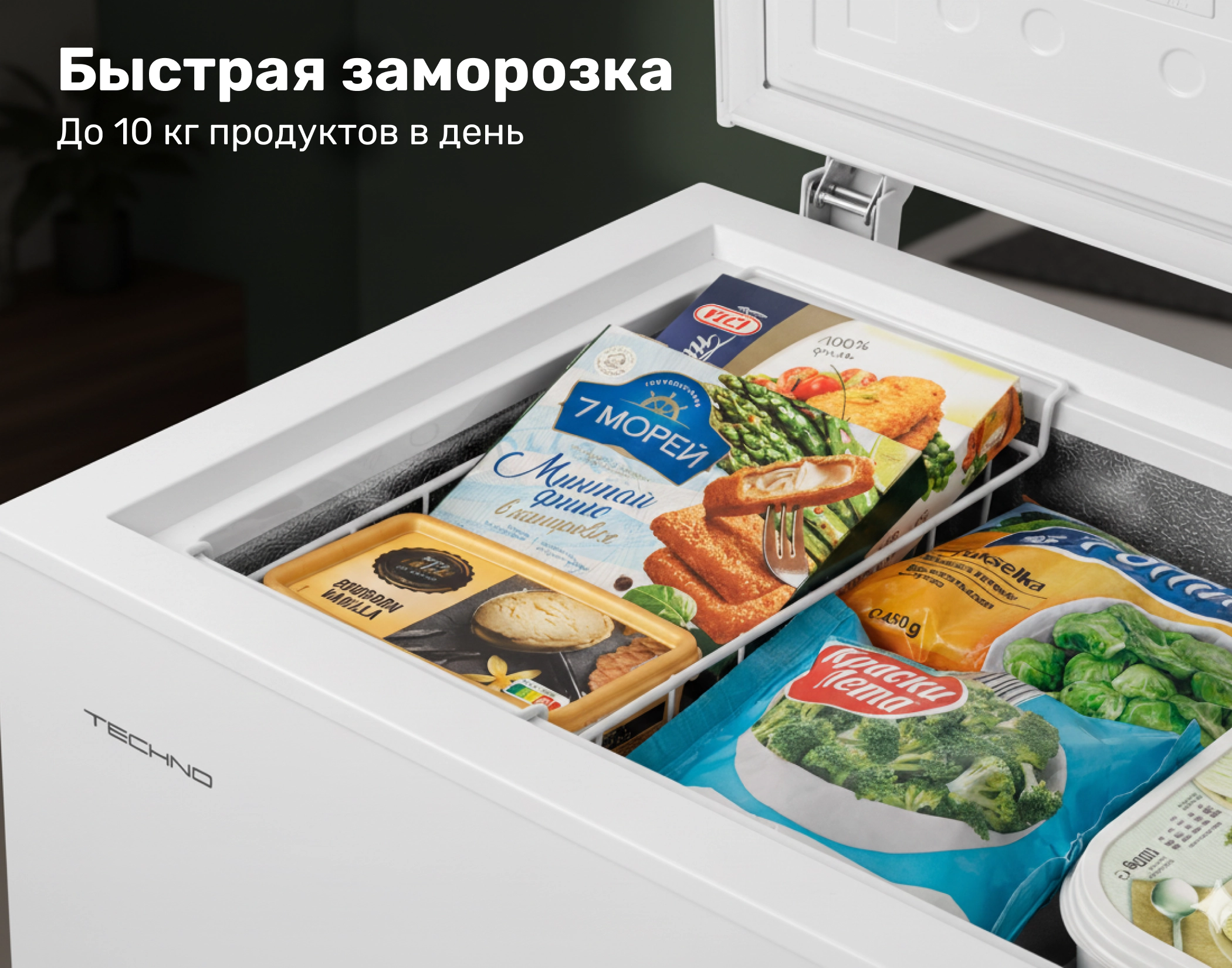 Детальное описание Морозильник TECHNO BD1-200_2 Детальное описание Морозильник TECHNO BD1-200_2